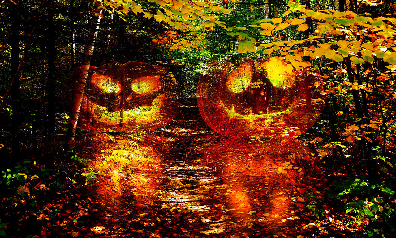 Halloween Scary Wood 1 - Stock Photos, Pictures & Images