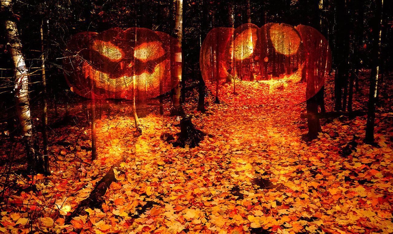 Halloween Scary Wood 2 - Stock Photos, Pictures & Images