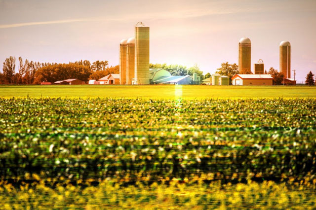 Modern Farmland and Agriculture Real Estate - Stock Photos, Pictures & Images