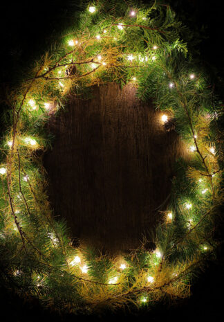 Vertical Pine and Lights Frame 1 - Just Colorful Stock Photos and Animations for all your Projects.