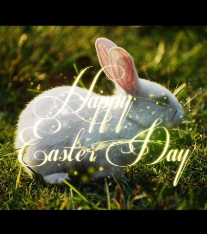 Cute Happy Easter Bunny 2 - Just Colorful Stock Photos and Animations for all your Projects.
